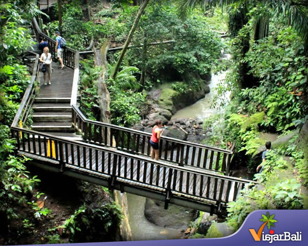 ubud monkey forest