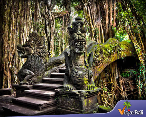 bosque de monos ubud